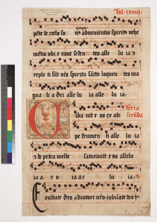 cantusilluminatus: 16th century Polish gradual. Some countries placed particular emphasis on waterma