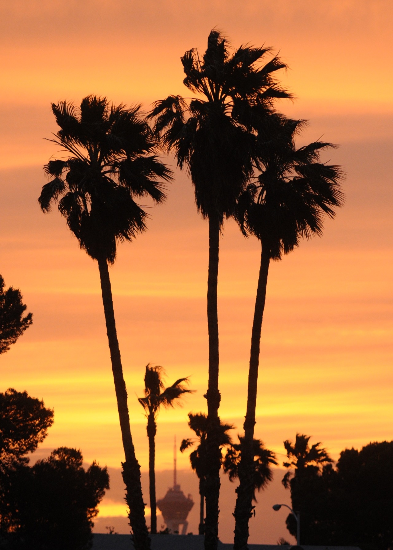 An old sunset looking out my front window.