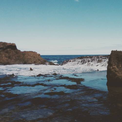 Tide pools are so cool #quebradillas #beach #tidepools #nature #guajataca #atlantic #ocean