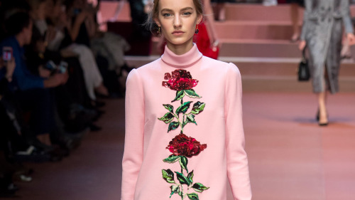 Dolce & Gabbana roses