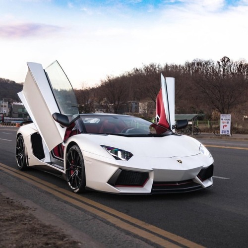 Hands Up ‍♂️ @RoyalCarsMG Official Photographer - #lamborghini #aventador #람보르기니 #아벤타도르 (at Seou