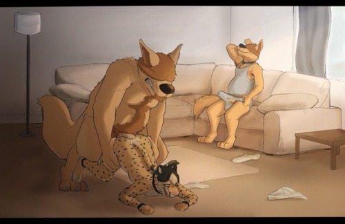 delirost: Breakin in a new house cat it seems.. hopefully he gets used to it Commission for @kyyanno