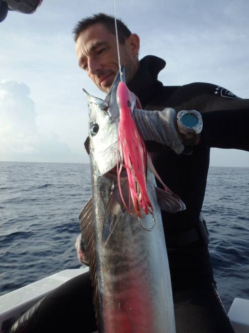 Joli wahoo pris sur Studmad en Guadeloupe
Madatet Fishing :...