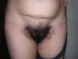 thoughtsofmen:  lovesithairy:  bushy bush  Delicious and nutritious! 