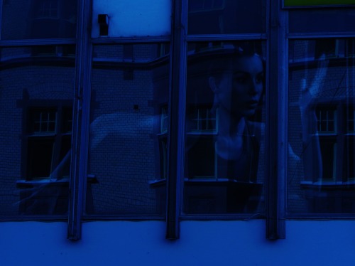 mondlicht ☾