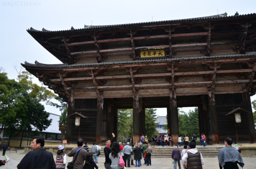 Nara 奈良 2012年04月10日