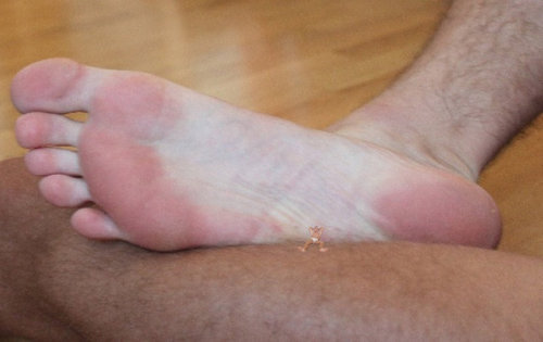 male feet