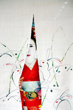 thekimonogallery:  Geisha behind cotton ‘noren’