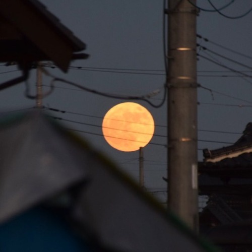 明日は曇りで見られないかもしれないので…。 #スーパームーン #月 #月の出 #満月は明日 #空 #supermoon #moon #moonrise #evening #sky #20