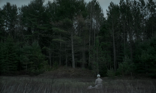365filmsbyauroranocte:  ”I be The Witch of the Wood.” The Witch (Robert Eggers, 2015)   