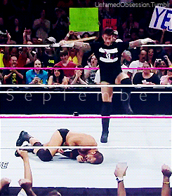  CM Punk 2013 Year in Review   