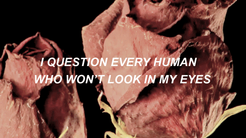 tendernxss:  Paramore // Part II