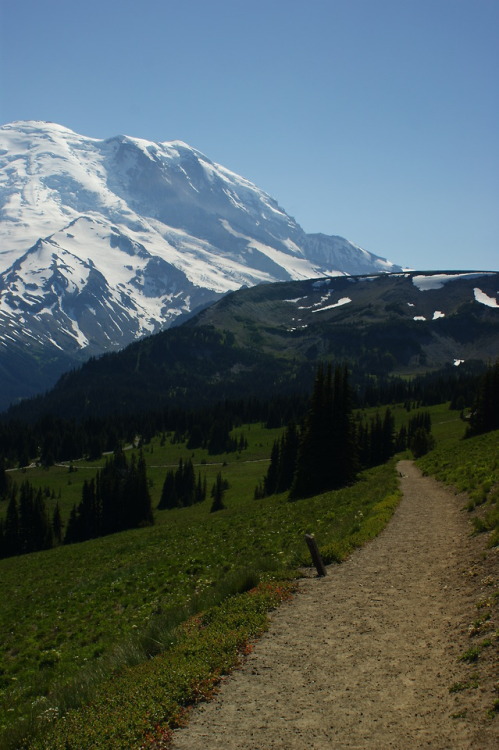 frommylimitedtravels:Sourdough trail - Mt. Rainier.