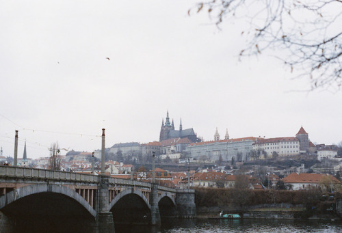 Prague - March, 2018Cinestill 800T x Olympus OM-1prints | instagram