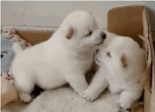 I said “makeout with me, NOT EAT MY FACE”