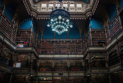 fubiz:  19th Century Library Filled by 350