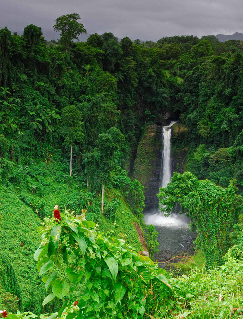 tropic-o:  ☼