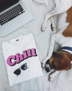 chrisklemens:  apparently my dog knows how to read bc he is chilling quite well 🐶 (shirts available at districtlines.com/chrisklemens 🔸 tag a friend who would want one) 