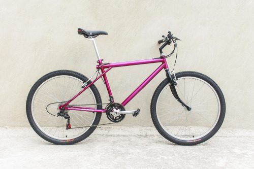 blitzmachines: Sierra. Old School MTB.