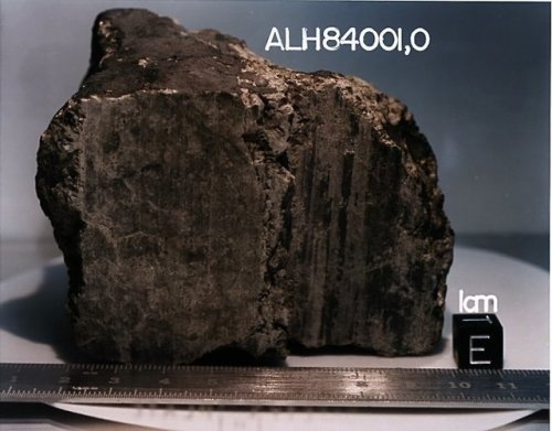 ALH84001, ameteorite that was found in Allan Hills (Antarctica) in December1984.  It is believed to 