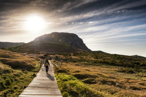 Early morning on Witse Oreum, near the peak of Mt. Hallasan.Mt. Hallasan is one of the most spectacu