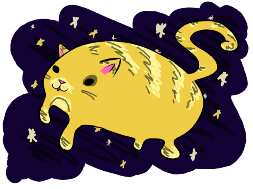 space kitties