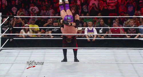 justkeeponpounding:  Love watching Ryder getting destroyed.