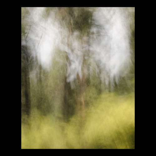 matthewschiavello:  ‘In search of….. #112′ 060915 Something older&hellip;