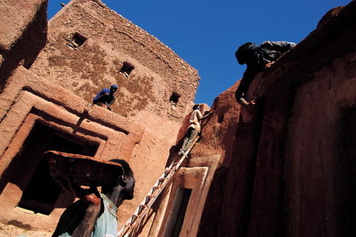 Pascal Meunier: Oualata, a garden in the Sahara (Mauritania. Oualata)*beautiful