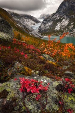 Colorel11:   Glacial Autumn By N Stian 