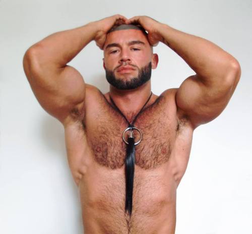 Hairy and Smooth