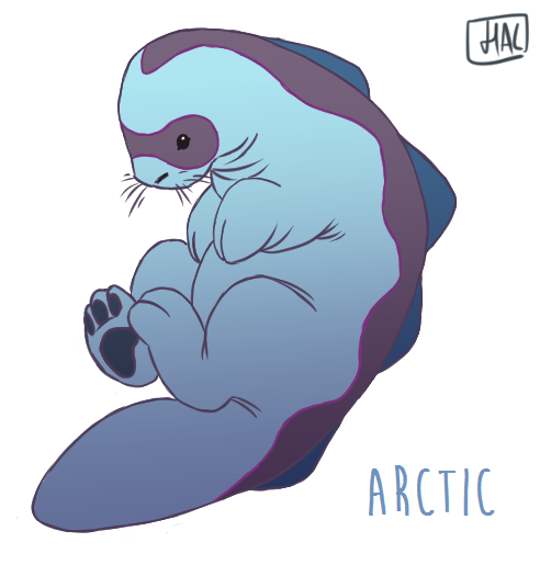 pandroids:some quogsBeach - the most common subspecies, this quagsire is plump and