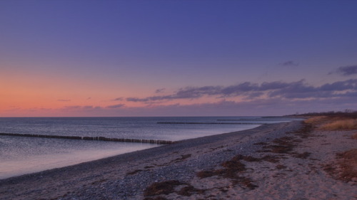 Purple. Purpur.The Baltic Coast, October 2016.