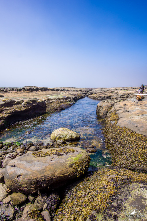 7.7.2014 - day 5 on the West Coast Trail - 1#BC #Canada #VancouverIsland #WestCoastTrail #NordicPhot