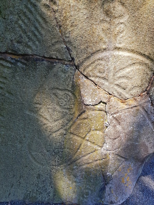 Brandsbutt Pictish Symbol Stone, Aberdeenshire, 19.5.18.