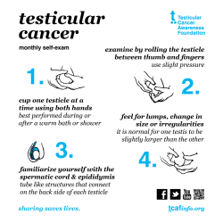 wayfaringmd:  dispatchrabbi:  geekhyena:  boy-positive:  kalashnikool:  boy-positive:   – via tcafinfo.org  Dmab folks, it is very important to perform self-exams every month. Be familiar with your body. Early detection is key with all types of cancers.