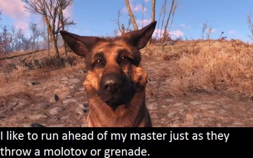 donbefox:  ambris-art:  glenn-griffon:  Can Dogmeat shaming be a thing please?   pffft yeah. XD  @alan-and-finn