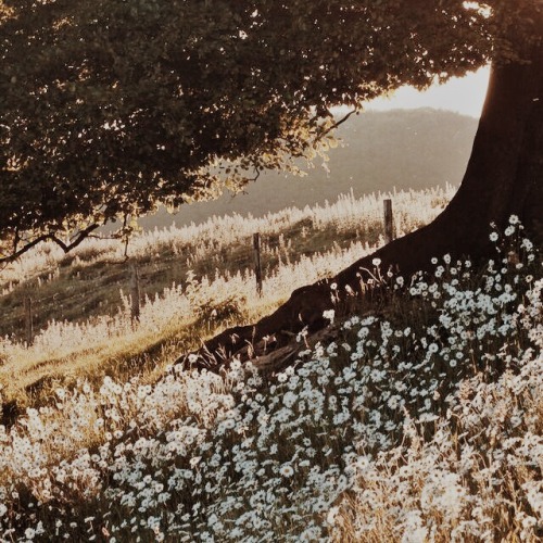 Norse Mythology From A To Z: