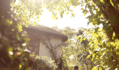 820d48c16efe43f6d038368926d2ed6950e8390d.gifv