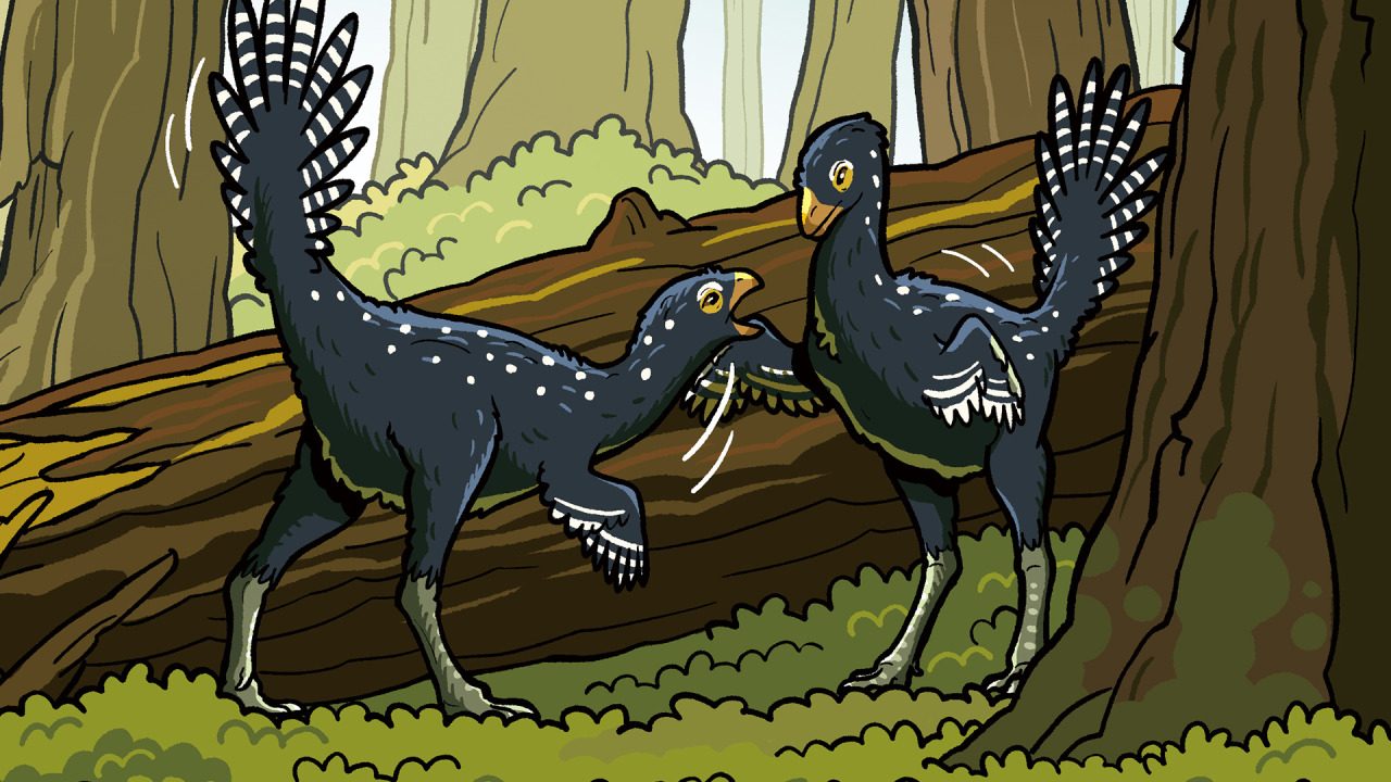 USIK — #6 Plateosaurus