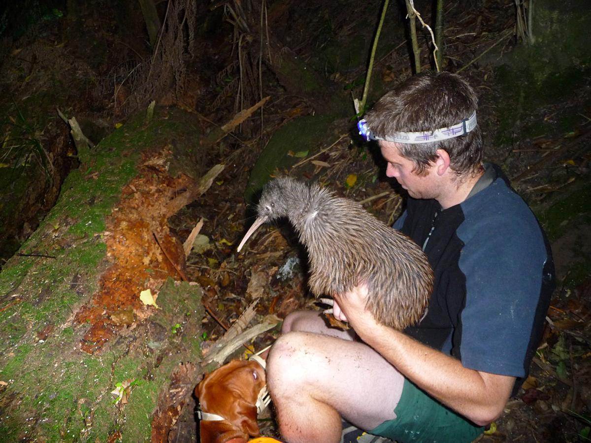 scalestails:  whenlifegivesyouconures:  heortewyrm:  nematode-needles:  i always