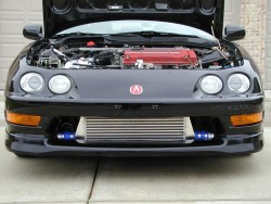 vteclove:  Integra Fans? I know you’re