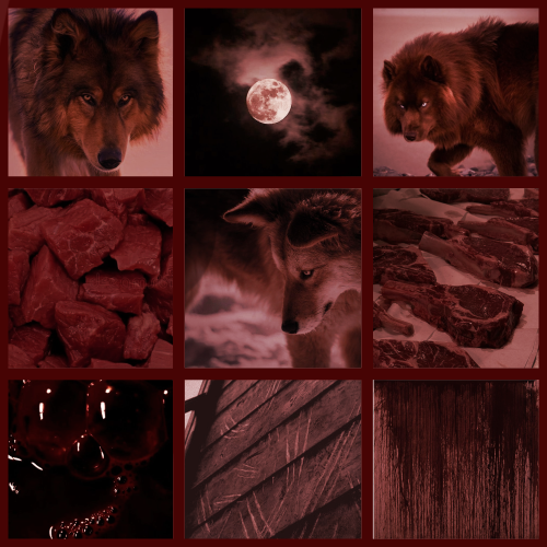 Moodboard For A Red-brown Werewolf With Themes Of Blood And Meat!