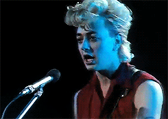 -Stray Cats-