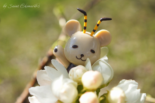 saintchimera: Spring, flowers, kumahachi. He’s sooo cute. ♡＼(￣▽￣)／♡