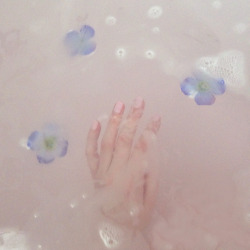 timidflower:  lavender fairy bath ❀