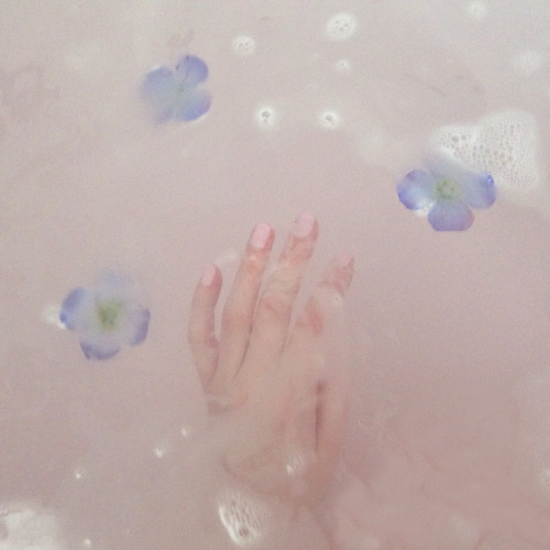 timidflower:lavender fairy bath ❀