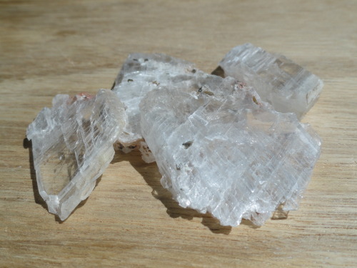 Gypsum CaSO4·2H2O  -  07.CD.40 (Strunz)(from El Teniente Mine, Chile) This was a gift from a friend 
