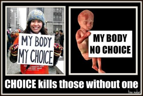 bitchslap-life: Yo maybe if a fucking fetus could actually hold a fucking sign then it could have a 