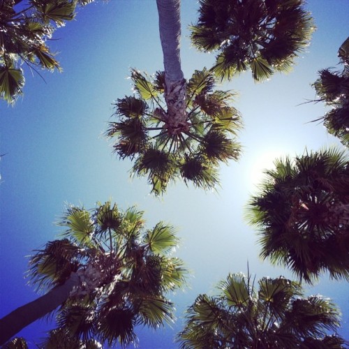 wheredoyoutravel:  Sunny Sundays i by liberacorp_us // via Instagram http://ift.tt/1nUXKTB